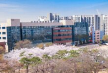 Photo of — Уплотнители для электроники и электротехники