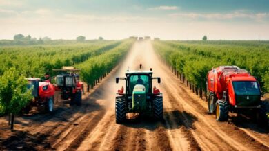 Photo of — Уплотнители для сельскохозяйственной техники